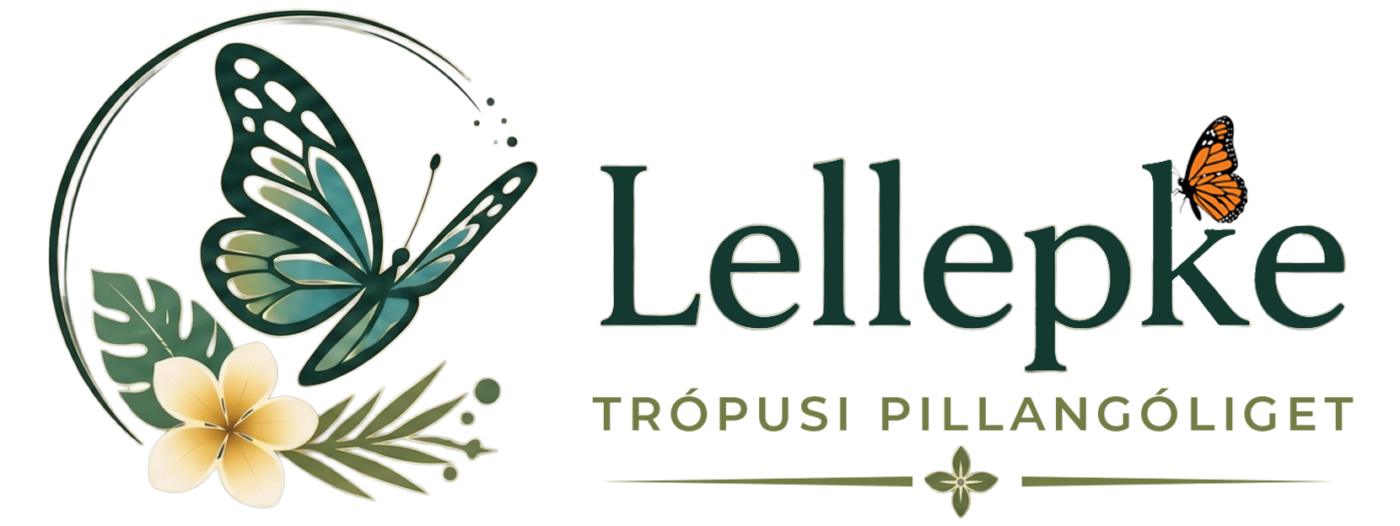 Lellepke
